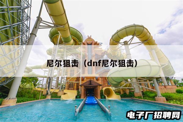 尼尔狙击(dnf尼尔狙击)